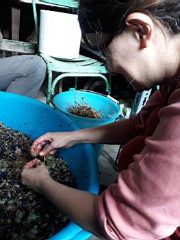 18- 2019-09-21 at 20.00.55.jpeg